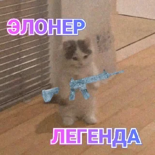 Sticker from Краши