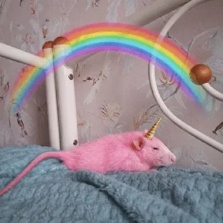 🌟 emoji Крысомания Telegram sticker 5 of 59