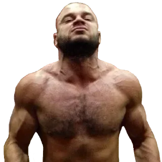 💪 emoji Тесак❤️ @LincIce Telegram sticker 18 of 88
