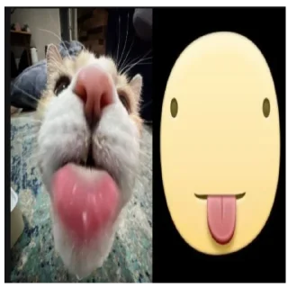 😋 emoji cute animals 💗 Telegram sticker 20 of 59