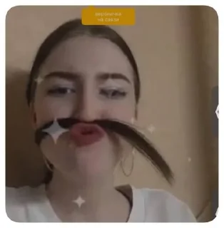 🥸 emoji ВероничкаПерс Telegram sticker 5 of 19