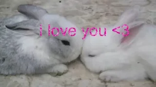 💗 emoji сашулькинс2 Telegram sticker 17 of 40