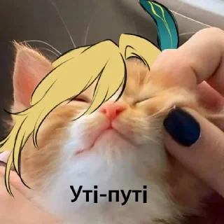🥹 emoji Наліпки тюленя Telegram sticker 19 of 50