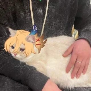 🥹 emoji Наліпки тюленя Telegram sticker 18 of 50