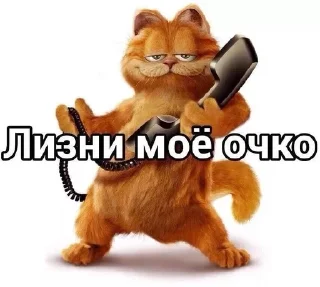 😋 emoji КОТЕНКИ Telegram sticker 13 of 66