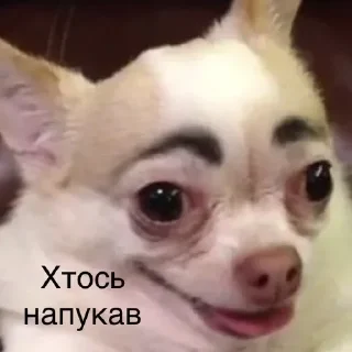 🙄 emoji Valin.Pak4.0 Telegram sticker 2 of 101