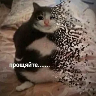 😢 emoji Valin.Pak4.0 Telegram sticker 10 of 101