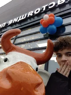 🐮 emoji дима долбоёб Telegram sticker 23 of 34