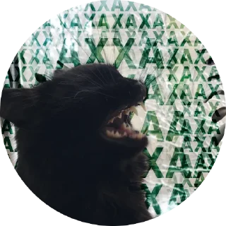 😄 emoji Емоційні тварини Telegram sticker 14 of 38