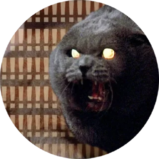 😡 emoji Емоційні тварини Telegram sticker 12 of 38