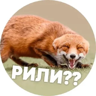 🌟 emoji LisaNika Telegram sticker 5 of 28