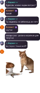 🙂 emoji Цитаты кубов Telegram sticker 24 of 53