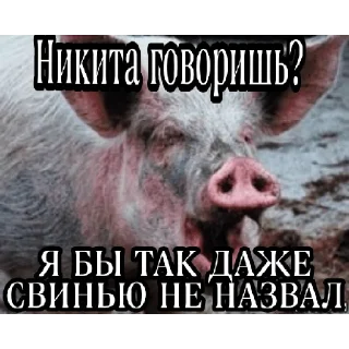 Sticker from ибать таво в рот.