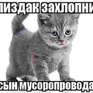 😝 emoji Капец Telegram sticker 14 of 56