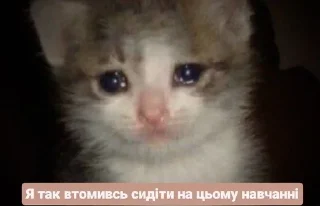 😫 emoji Щось типу...🤨 Telegram sticker 20 of 120