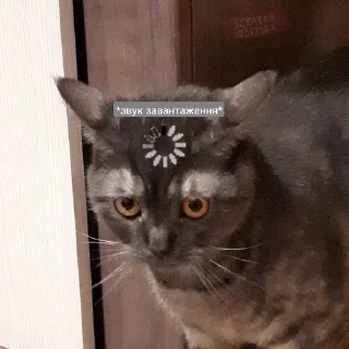 🗿 emoji Щось типу...🤨 Telegram sticker 16 of 120
