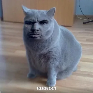 Sticker from memes