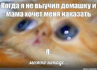 😕 emoji Kotu_memu Telegram sticker 22 of 26