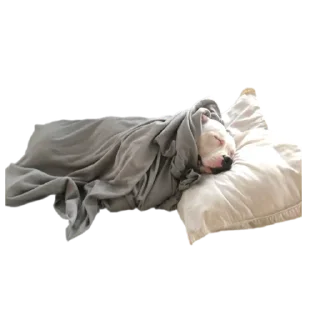 😴 emoji Hannah Telegram sticker 10 of 13