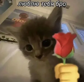 💕 emoji Эх Telegram sticker 24 of 29