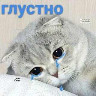 😿 emoji meow :3 Telegram sticker 20 of 55