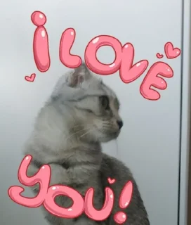 ❤️ emoji Стеша и другие VIP кошки Telegram sticker 17 of 52