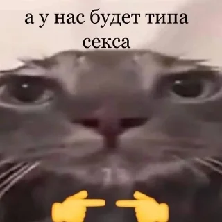 👉 emoji котики) Telegram sticker 11 of 11