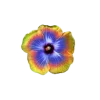 🤩 emoji 𝐅𝐥𝐨𝐰𝐞𝐫𝐬 🌸 @EVXSSQ Telegram sticker 7 of 73