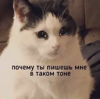 🥹 emoji IloveAntonKafodisov Telegram sticker 24 of 85