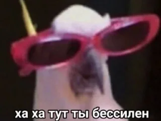 😌 emoji Лучший дуэт Telegram sticker 13 of 20