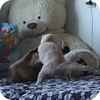 ❤ emoji Ещкере Telegram sticker 21 of 98