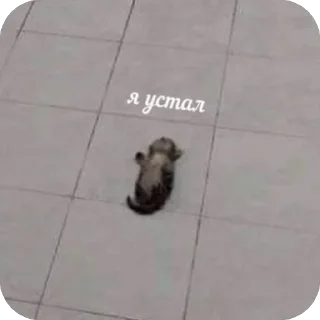 🫥 emoji Я хз чо это Telegram sticker 17 of 60