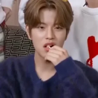 🐶 emoji seungmin @X1NTS Telegram sticker 17 of 25