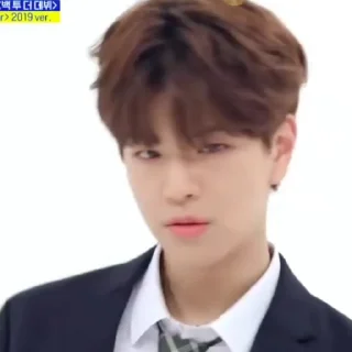 🐶 emoji seungmin @X1NTS Telegram sticker 8 of 25