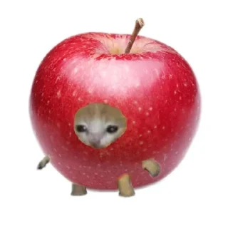 Sticker from грустный кот