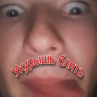 🚬 emoji Команда даунов Telegram sticker 5 of 14