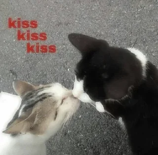 💋 emoji meow meow Telegram sticker 16 of 120