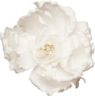 🎞️ emoji 𝖭𝖺𝗀𝗂 𝖲𝖾𝗂𝗌𝗁𝗂𝗋𝗈 @suwilover Telegram sticker 8 of 20