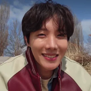 🍁 emoji hoseok @heslu Telegram sticker 17 of 40