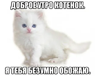 😌 emoji люлю Telegram sticker 10 of 41