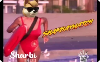 Sticker from Wild Sharbi