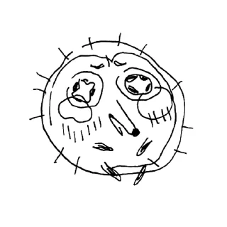 Sticker from дурацкие ежи @trdelinka