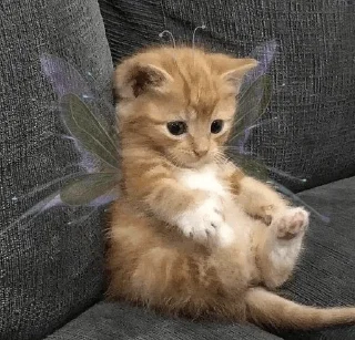 🧚‍♀️ emoji моё Telegram sticker 18 of 70