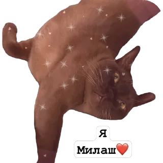 ❤ emoji Арчи Telegram sticker 19 of 24