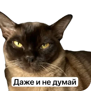 😒 emoji Арчи Telegram sticker 17 of 24