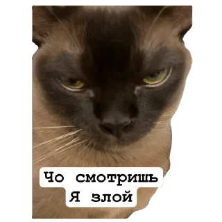 😡 emoji Арчи Telegram sticker 24 of 24
