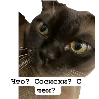 😱 emoji Арчи Telegram sticker 23 of 24