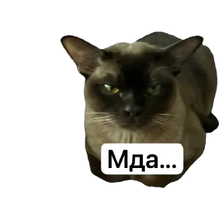 😒 emoji Арчи Telegram sticker 9 of 24