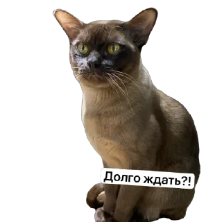 🙄 emoji Арчи Telegram sticker 5 of 24