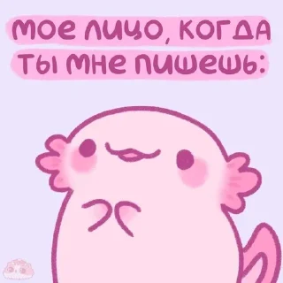 Sticker from котики @diiinnnneeen